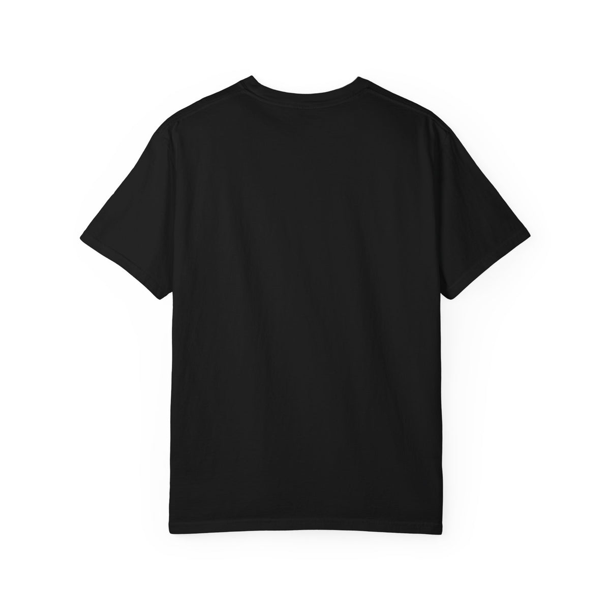 Bible Hoarder And Proud of It T-Shirt, Premium Comfort Colors 1717