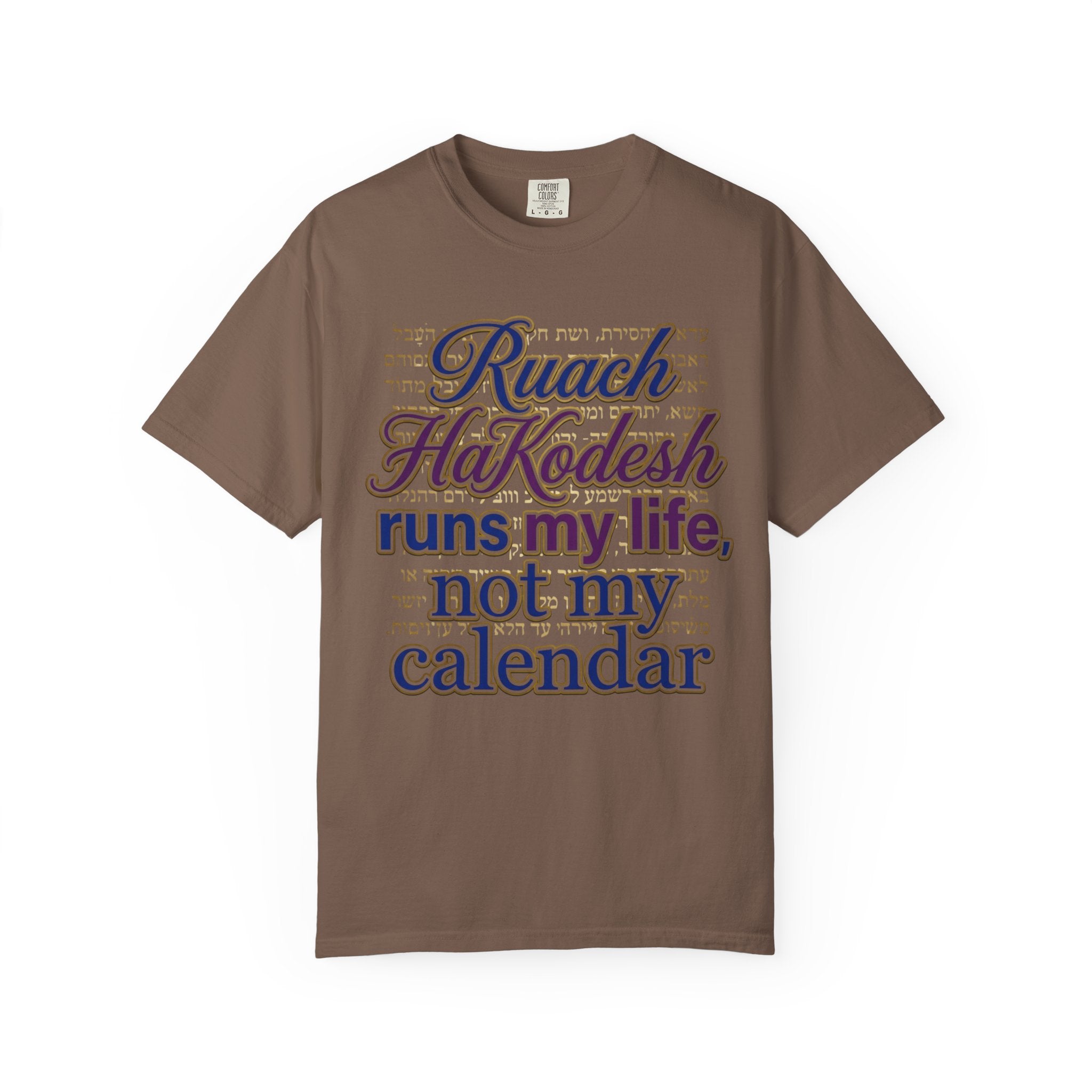 MESSIANIC JUDAISM T-Shirt: Ruach HaKodesh